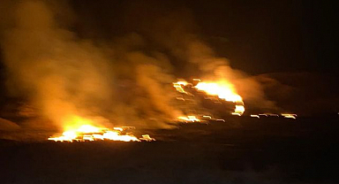 Sazlık alanda korkutan yangın