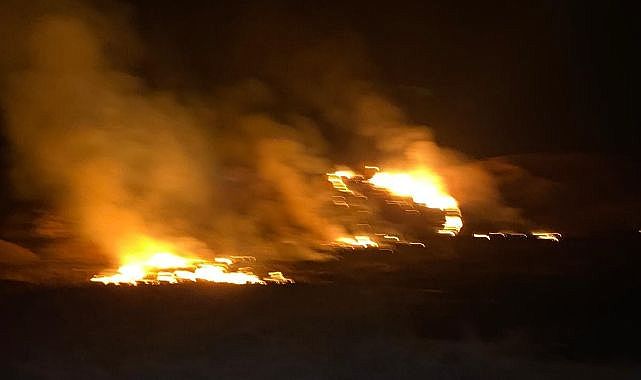 Sazlık alanda korkutan yangın