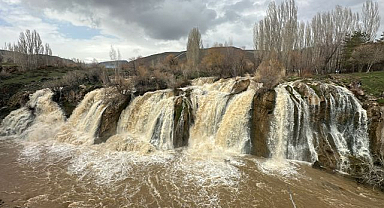 Görüntüsüyle görenleri büyüledi