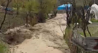 Selde korucu havaya ateş açarak köylüleri uyardı