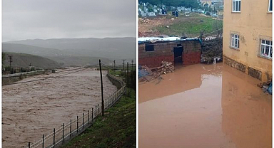 Selin bilançosu ağır oldu! 400'e yakın hayvan telef oldu    