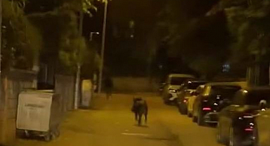 Sokaklarda korku dolu anlar