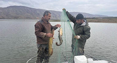 Su ürünleri araştırma çalışmaları sürüyor  