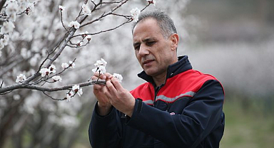Tarım ekipleri zirai don uyarısı için sahada