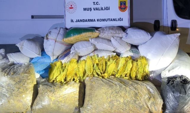 Tonlarca bandrolsüz tütün ele geçirildi