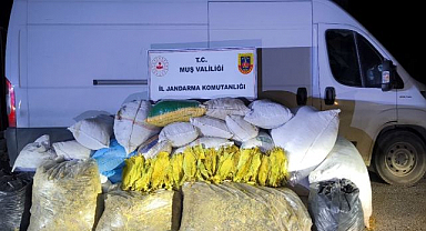 Tonlarca bandrolsüz tütün ele geçirildi