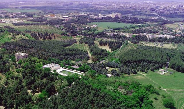 Türkiye'de bir ilk! Üniversitenin kampüsünde petrol bulundu
