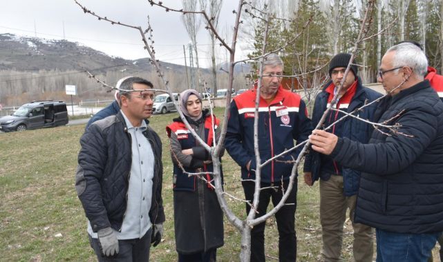 Üreticilere aşılama ve budama eğitimi