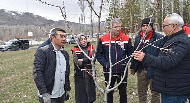 Üreticilere aşılama ve budama eğitimi