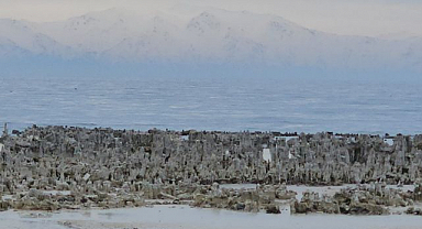 Van Gölü'nde kuraklık alarmı! Mikrobiyalitler gün yüzüne çıktı   