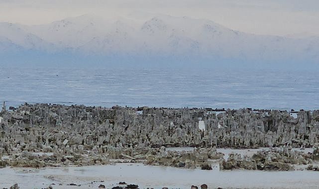 Van Gölü'nde kuraklık alarmı! Mikrobiyalitler gün yüzüne çıktı