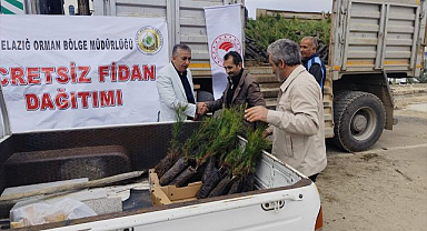 Vatandaşlara 20 bin fidan dağıtıldı