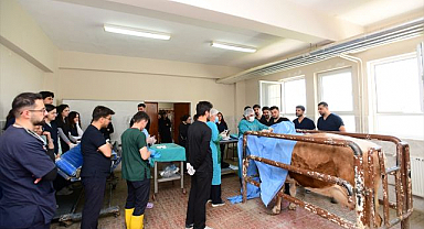 Veteriner fakültesinde öğrencilere uygulamalı eğitim