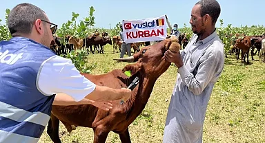 Vuslat Derneği 2026 kurban organizasyonuna hazır