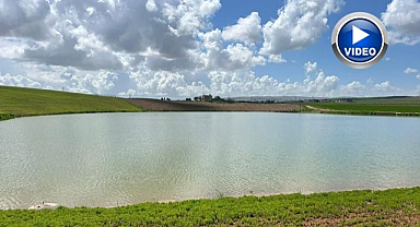 Yağışlarla yeniden can buldu!