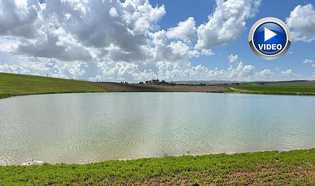 Yağışlarla yeniden can buldu!