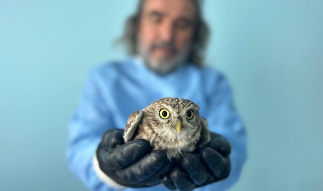 Yaralı  yaban  hayvanlarına umut oldular