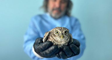 Yaralı  yaban  hayvanlarına umut oldular