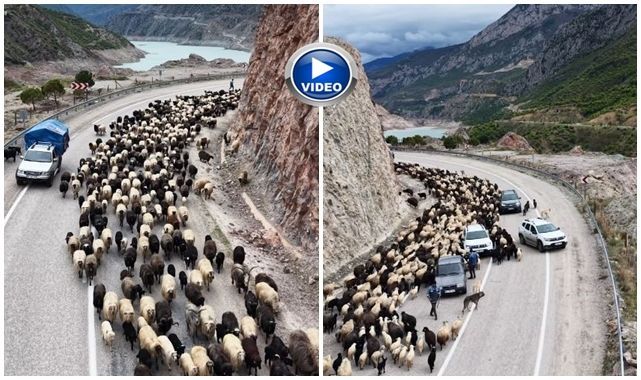  Yayla yolunda zorlu göç başladı
