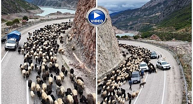  Yayla yolunda zorlu göç başladı