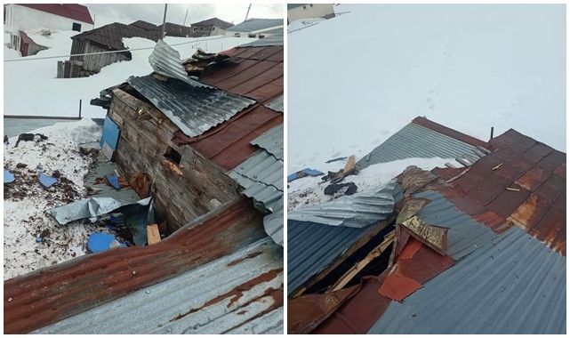 Yaylalarda ayı dehşeti devam ediyor