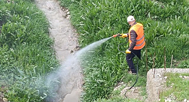 Yaz ayları öncesi temizlik ve ilaçlama