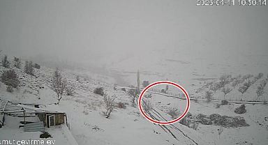 Yiyecek bulamayınca köye indiler