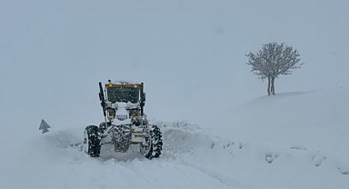 Yoğun kar yağışı 55 köy yolunu kapattı 