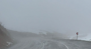 Şehri sis bastı! Göz gözü görmedi