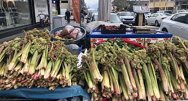 Yüksek rakımın lezzeti tezgahlarda   