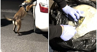 Zehir tacirlerine nefes aldırmadılar