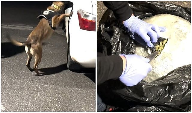 Zehir tacirlerine nefes aldırmadılar