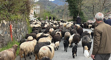 Zorlu yayla göçü başladı