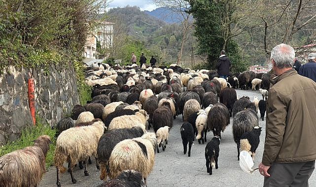 Zorlu yayla göçü başladı