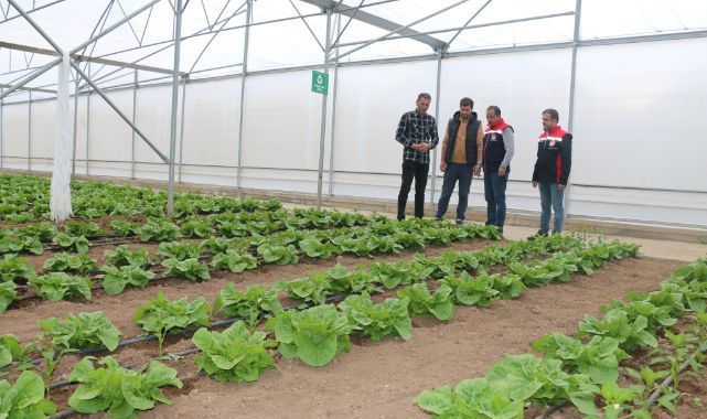 23 dekarlık serada yılda 3 ürün hasadı   