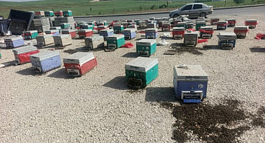 Araç arızalanınca binlerce arı telef oldu   