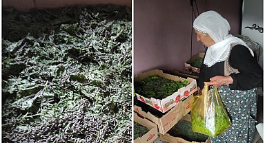 Ata mesleği yeniden geçim kapısı oldu