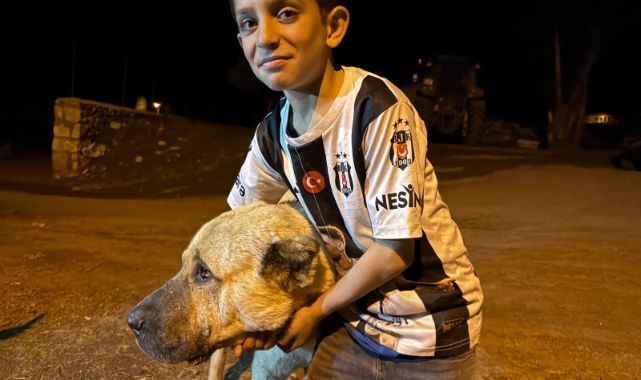 Ayıların saldırısından köpeği sayesinde kurtuldu!  