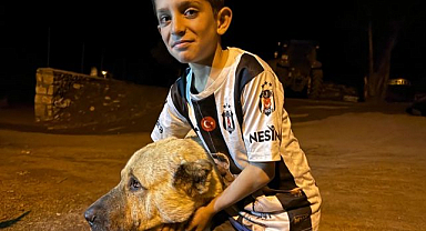 Ayıların saldırısından köpeği sayesinde kurtuldu!  