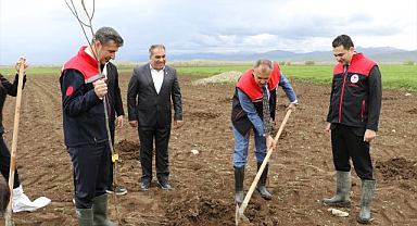 Çiftçilere fidan desteği
