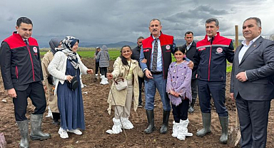 Çiftçilere hibeli fidan desteği verildi