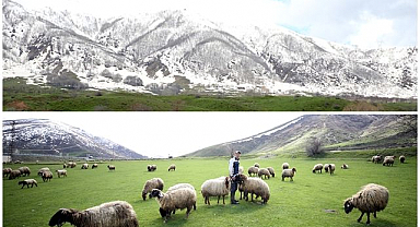 Dağlarda kış, meralarında bahar yaşanıyor