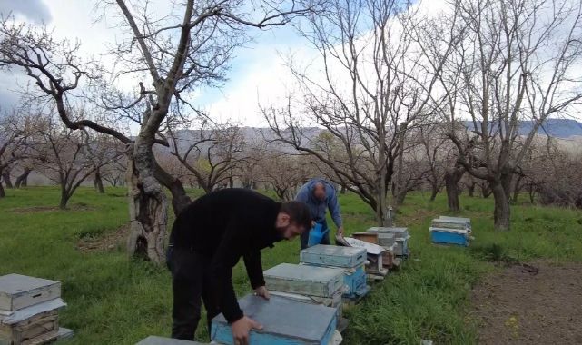 Dede mesleği yaşatılıyor: Arıcılık sezonu başladı