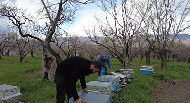 Dede mesleği yaşatılıyor: Arıcılık sezonu başladı