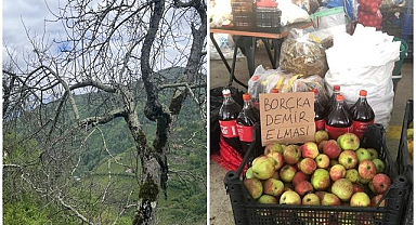 Demir elma yalancı bahara aldanmıyor