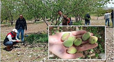 Dolu sonrası hasar tespiti yapıldı