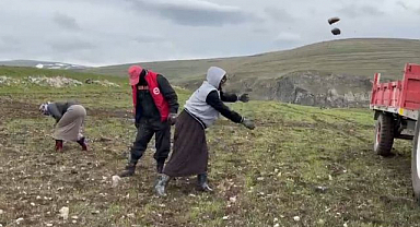 Ekim öncesi tarlalarda 'taş' mesaisi