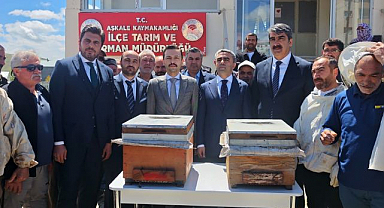 Erzurum'da arıcılığa destek projesi: Üreticilere yüzde 70 hibeli kovan desteği