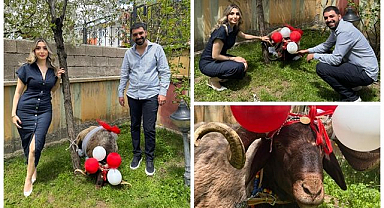 Erzurum'da 'Gelin Koçu' mesaisi