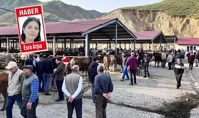 Erzurum'da kurbanlık fiyatları yüzde 50 arttı